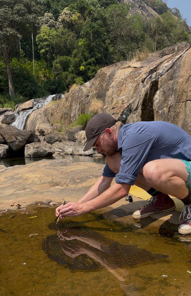 10°02'01.5"N 77°03'18.0"E: Munnar, India