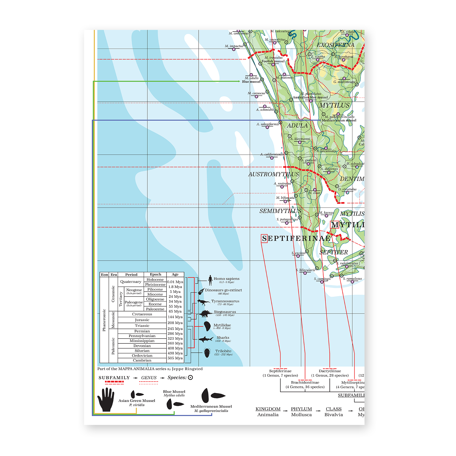 Mytilidae - Land of Mussels