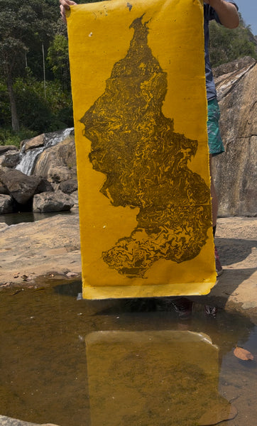 10°02'01.5"N 77°03'18.0"E: Munnar, India