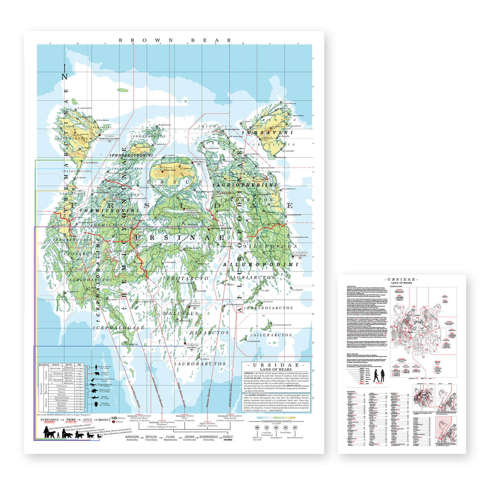 Ursidae - Land of Bears (Brown Bear)