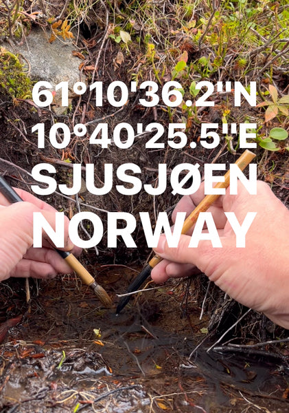 61°10'36.2"N 10°40'25.5"E: Sjusjøen, Norway