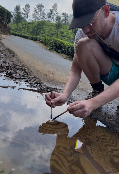 10°03’03.9”N 77°03’16.5”E: Kerala, India