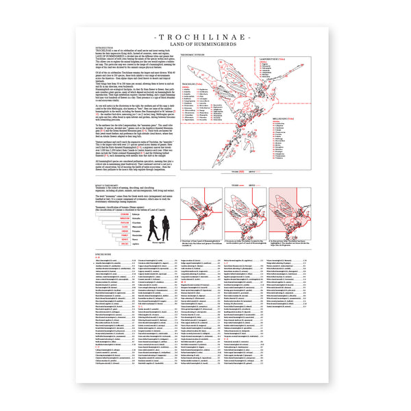 Trochilinae - Land of Hummingbirds
