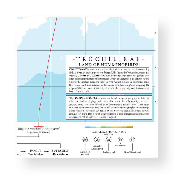 Trochilinae - Land of Hummingbirds