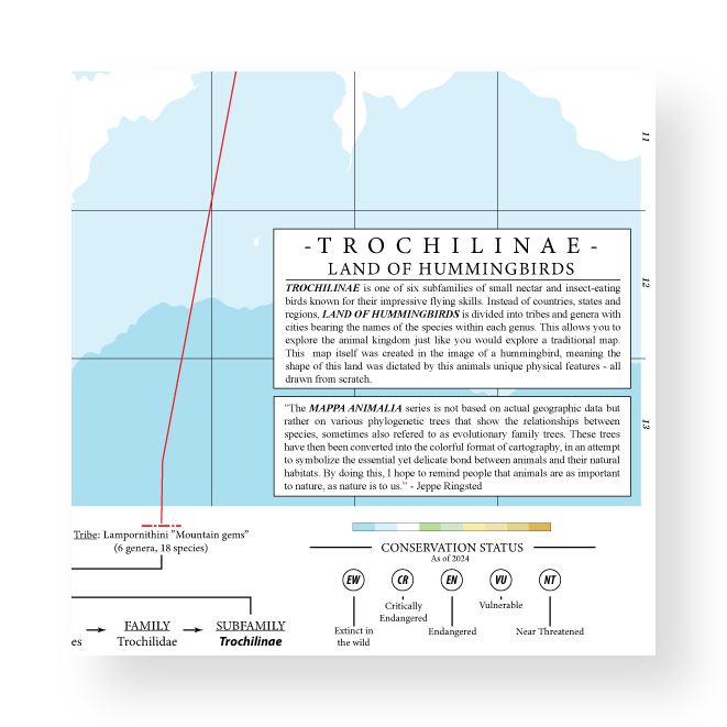 Trochilinae - Land of Hummingbirds