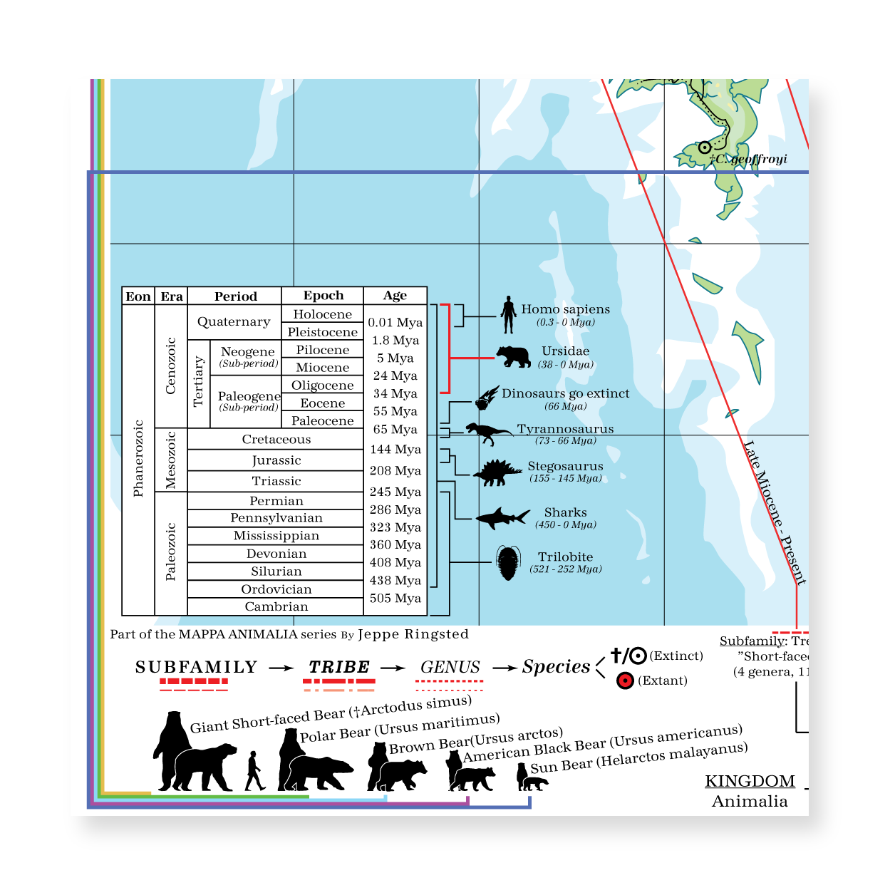 Ursidae - Land of Bears (Brown Bear)