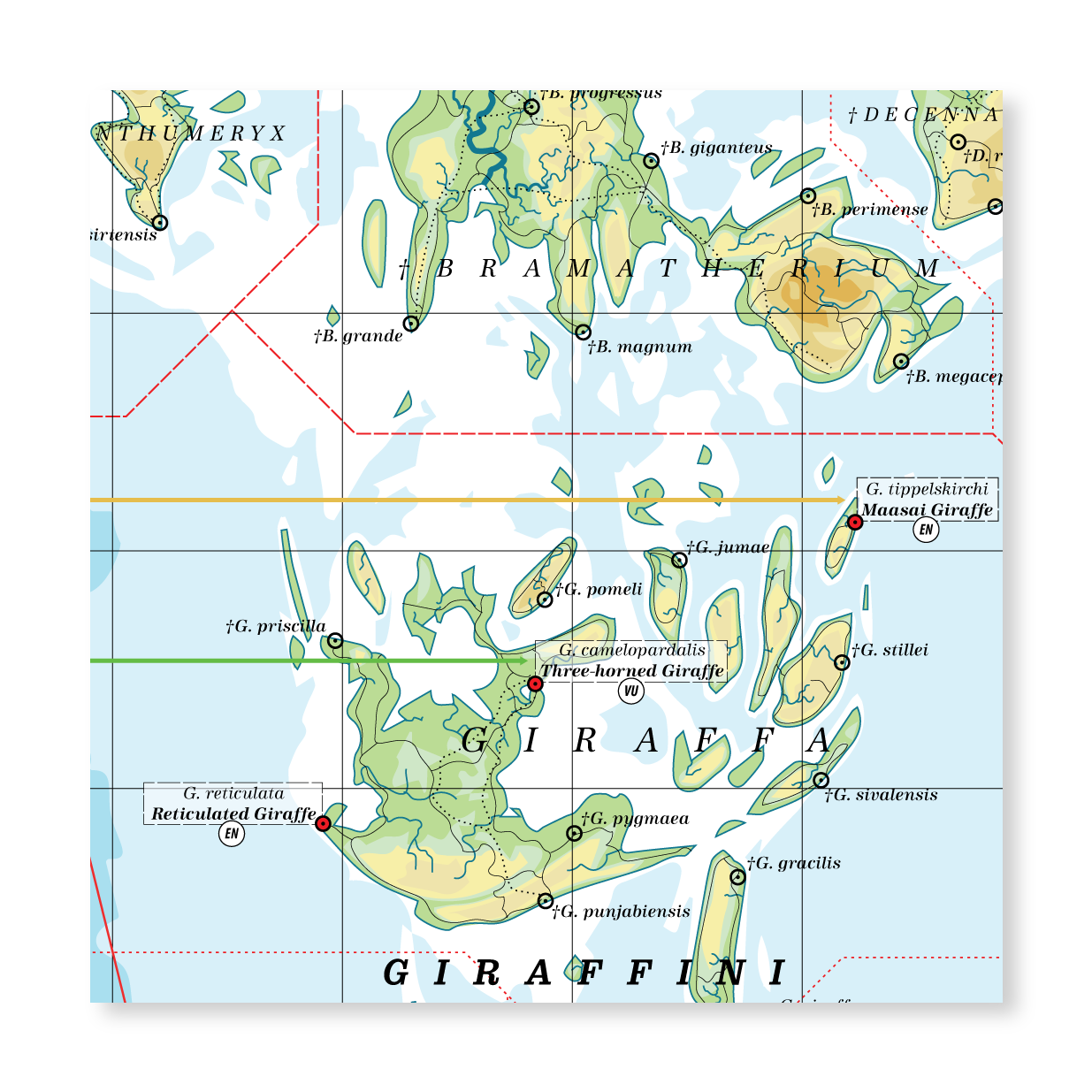 Giraffidae - Land of Giraffes