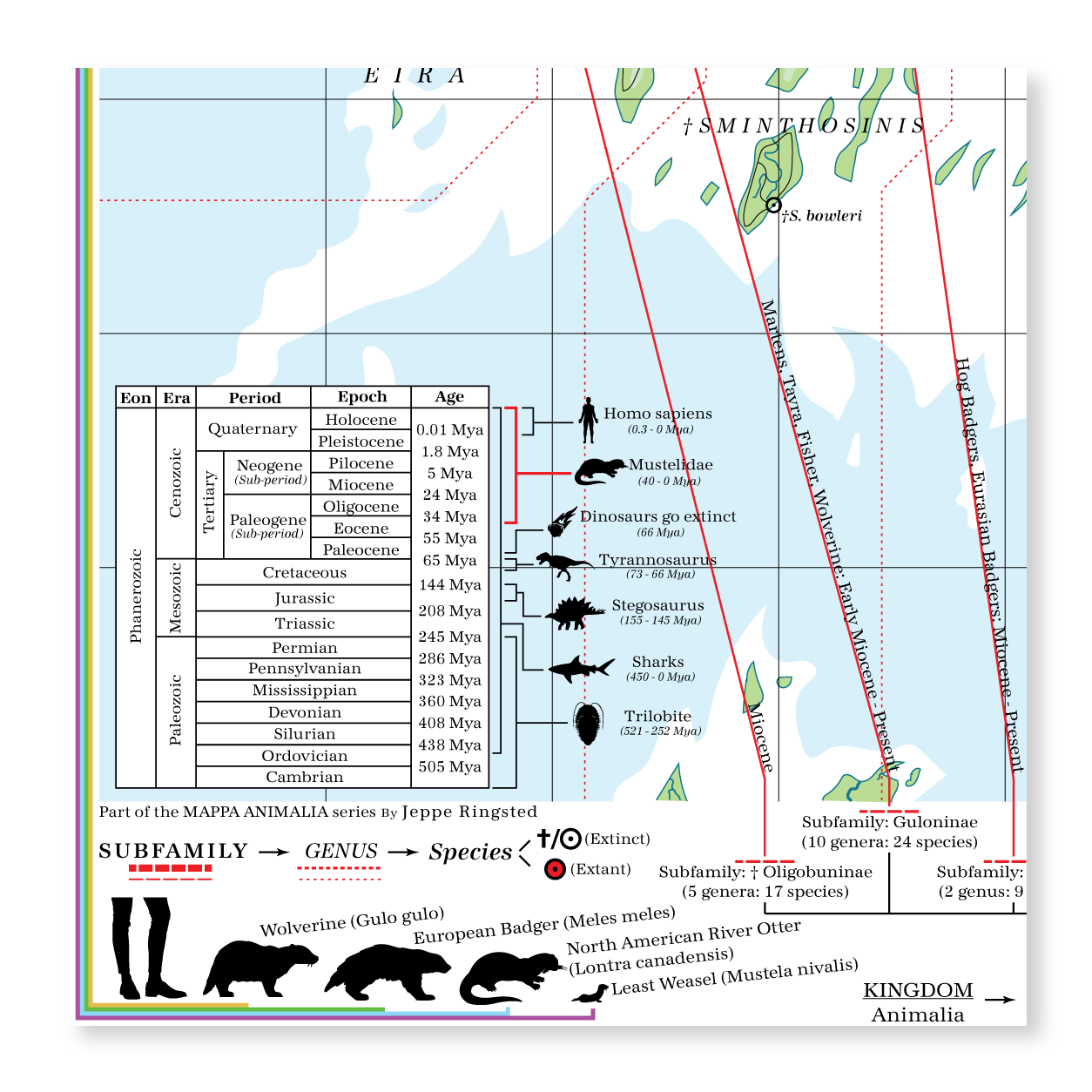 Mustelidae - Land of Weasels (Otter)