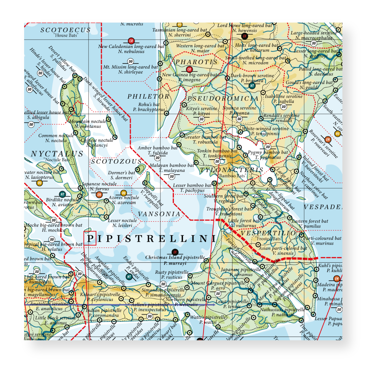 Vespertilioninae - Land of Vesper Bats