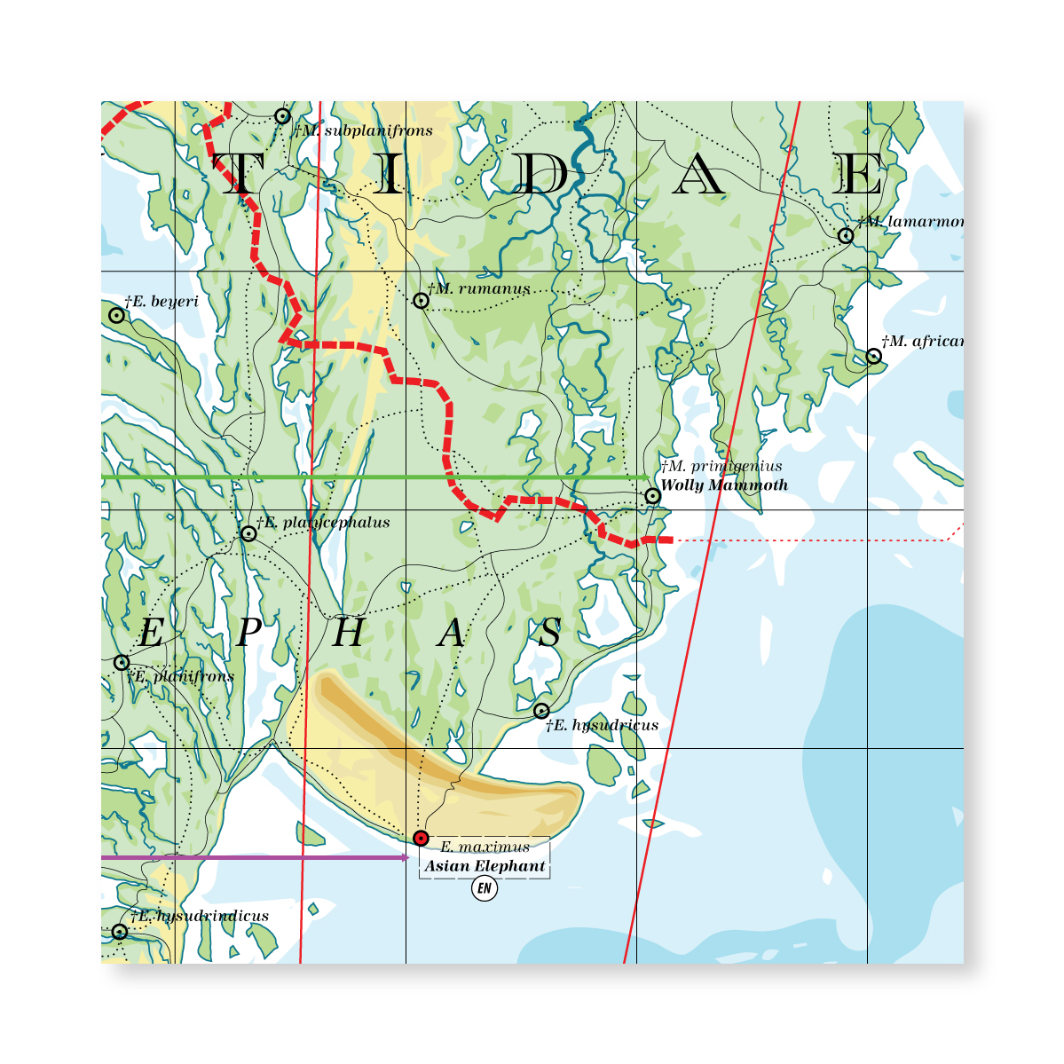Elephantidae - Land of Elephants
