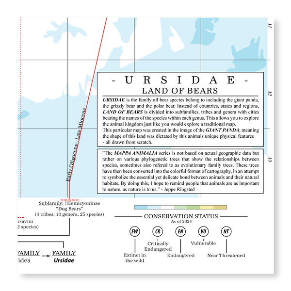 Ursidae - Land of Bears (Panda)