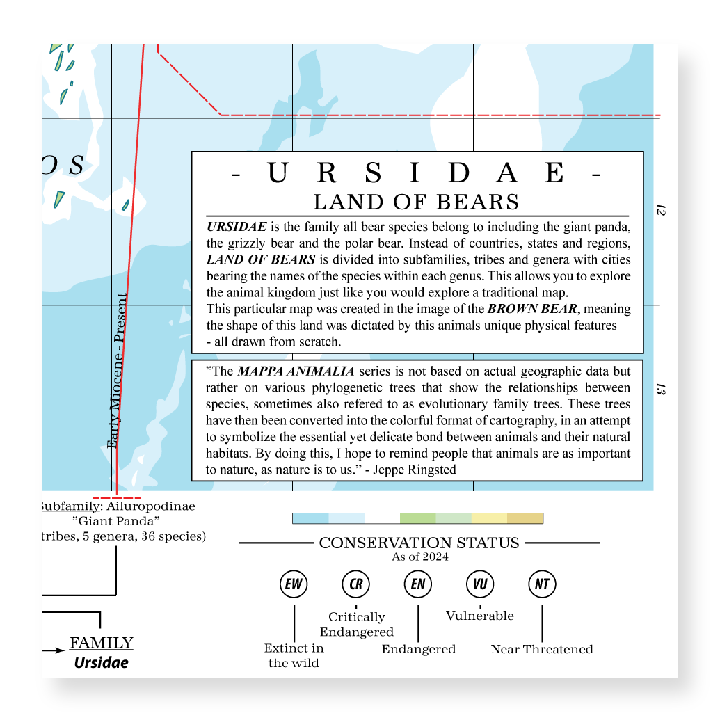 Ursidae - Land of Bears (Brown Bear)