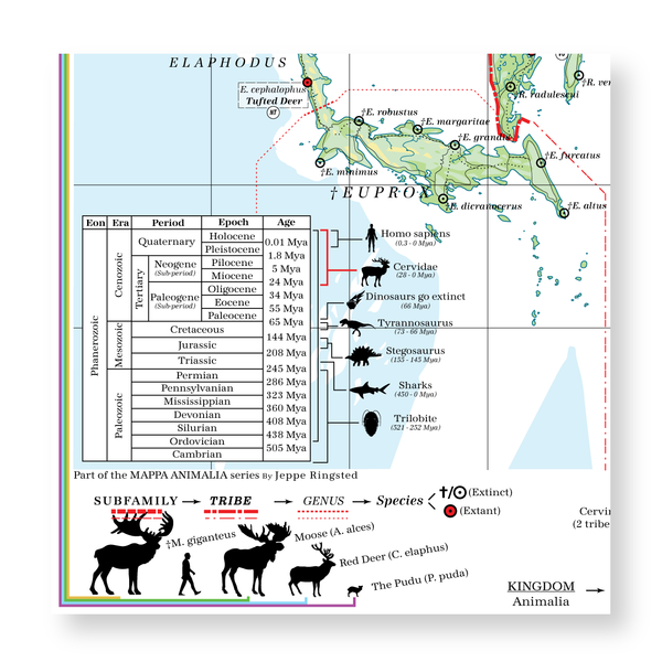Cervidae - Land of Deer