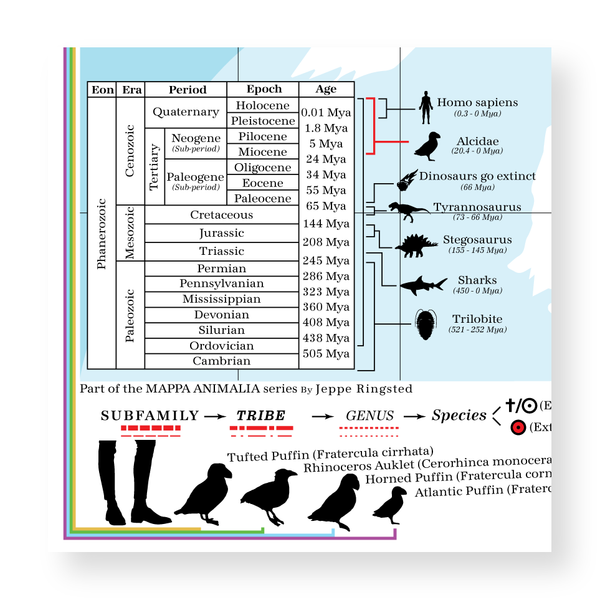 Alcidae - Land of Auks (Puffin)