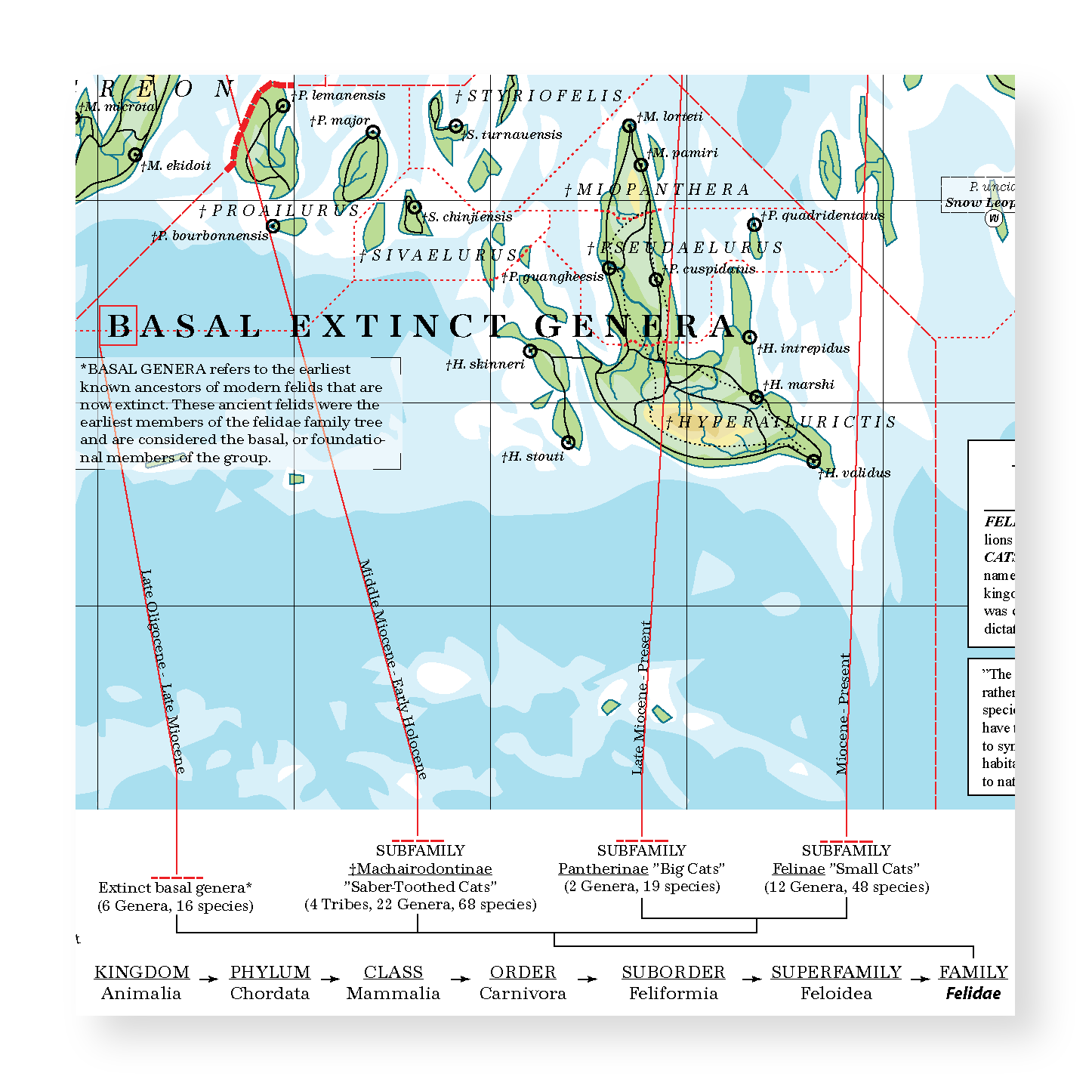 Felidae - Land of Cats (Lion)