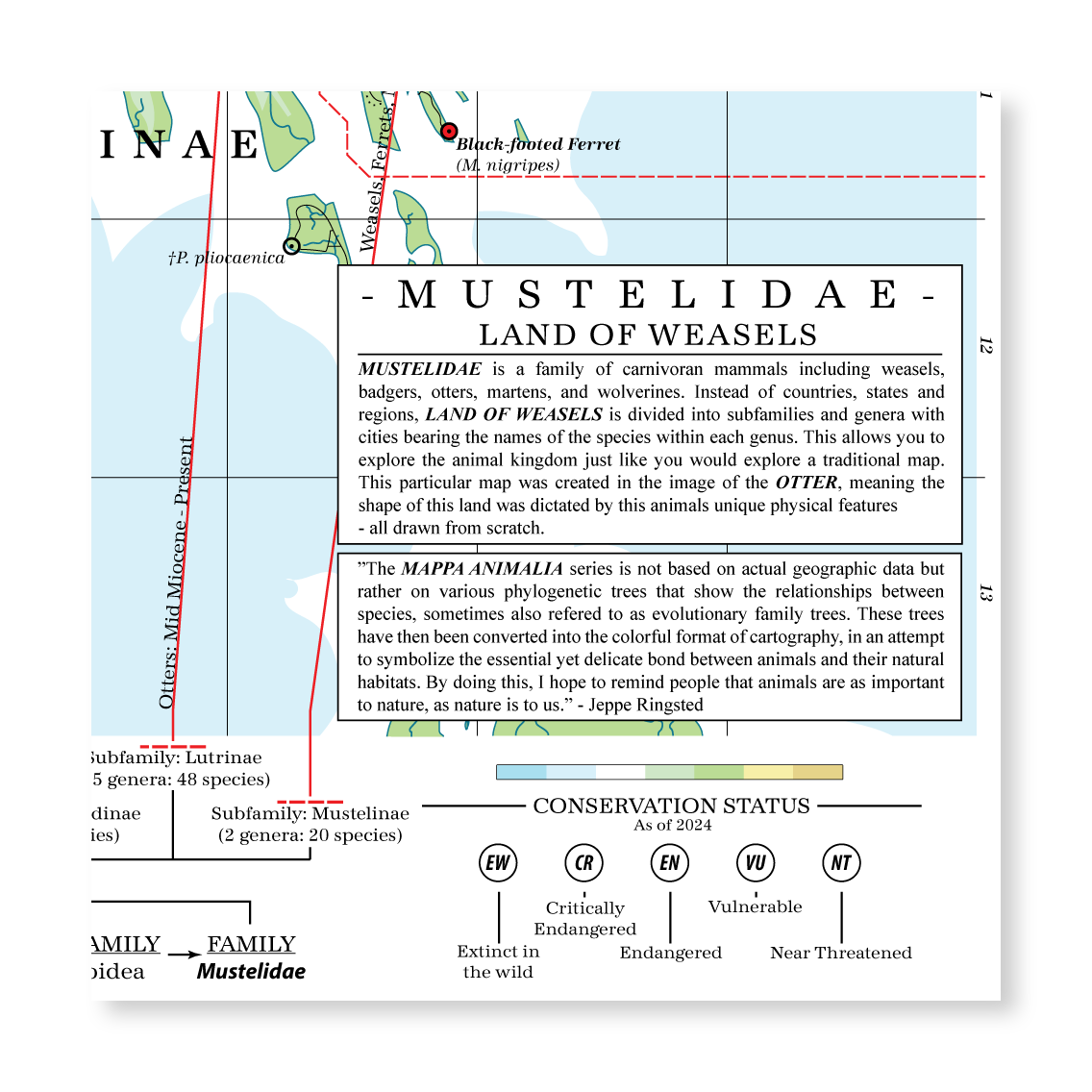 Mustelidae - Land of Weasels (Otter)