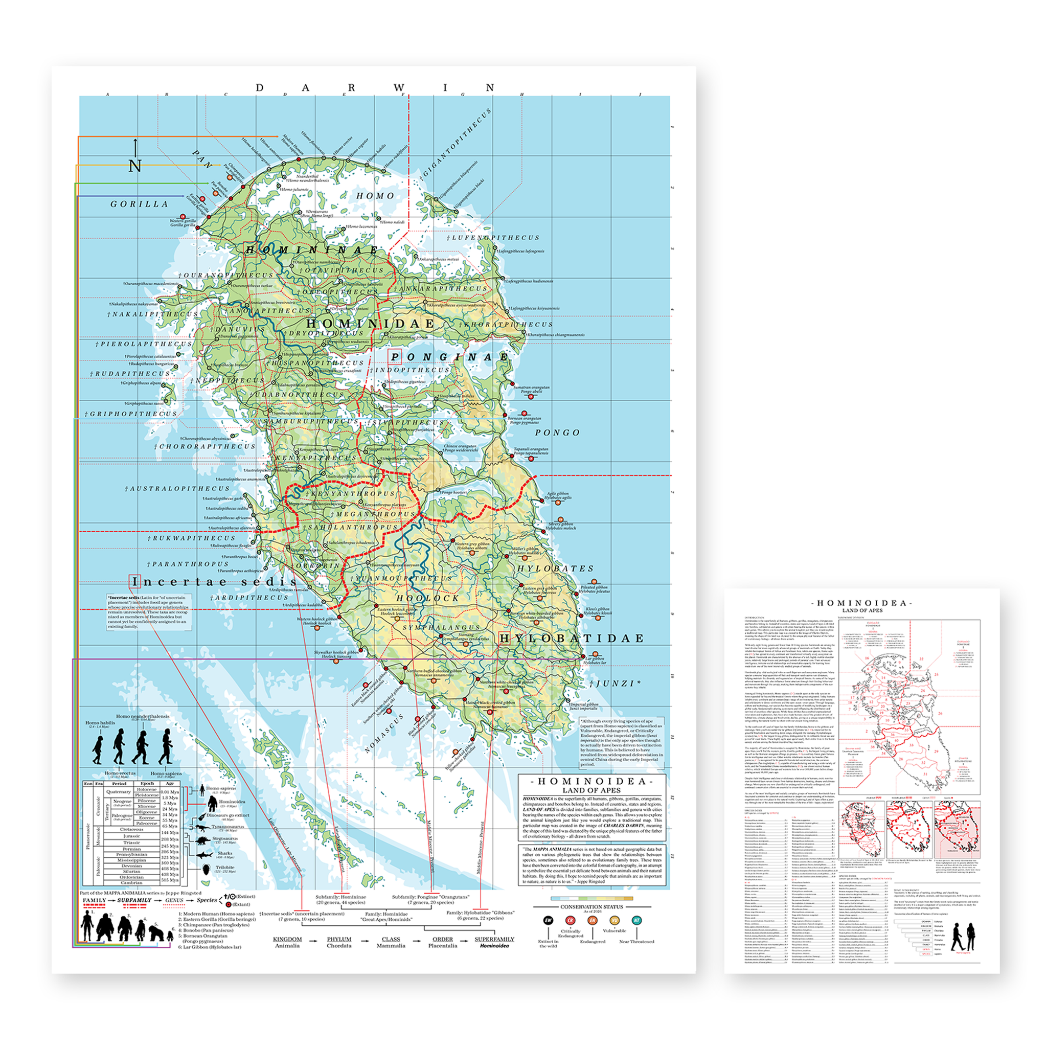 Hominoidea - Land of Apes (Darwin)