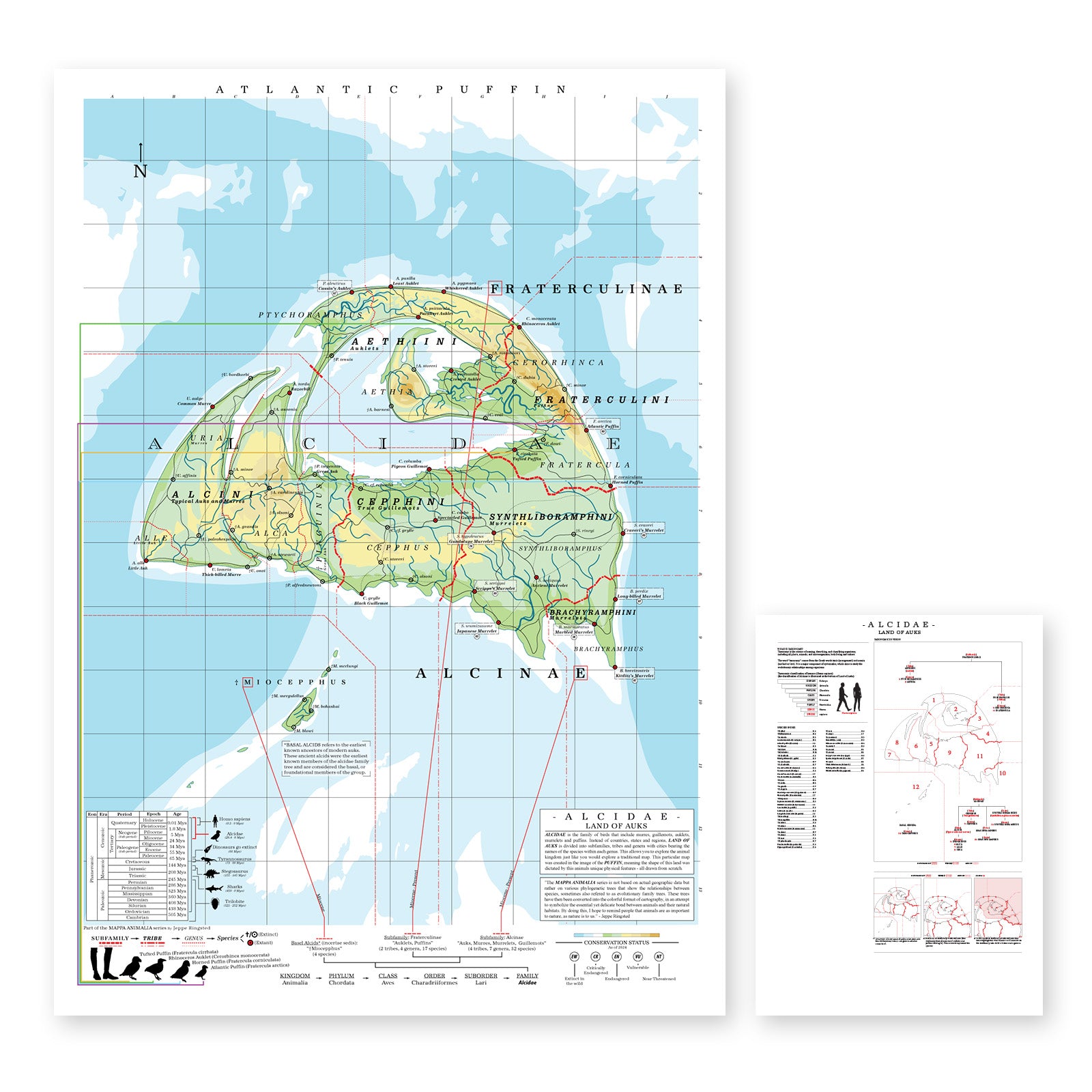 Alcidae - Land of Auks (Puffin)