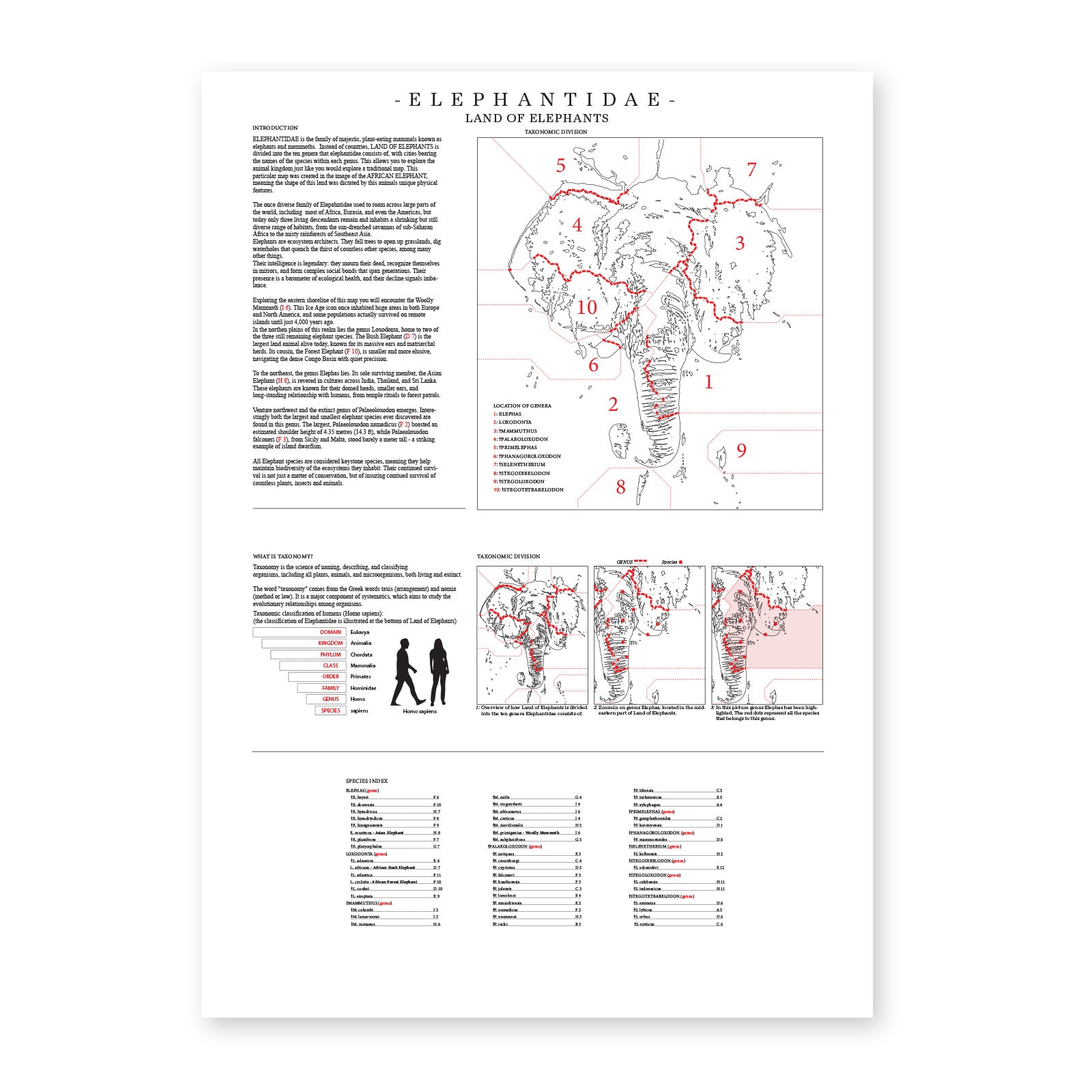 Elephantidae - Land of Elephants