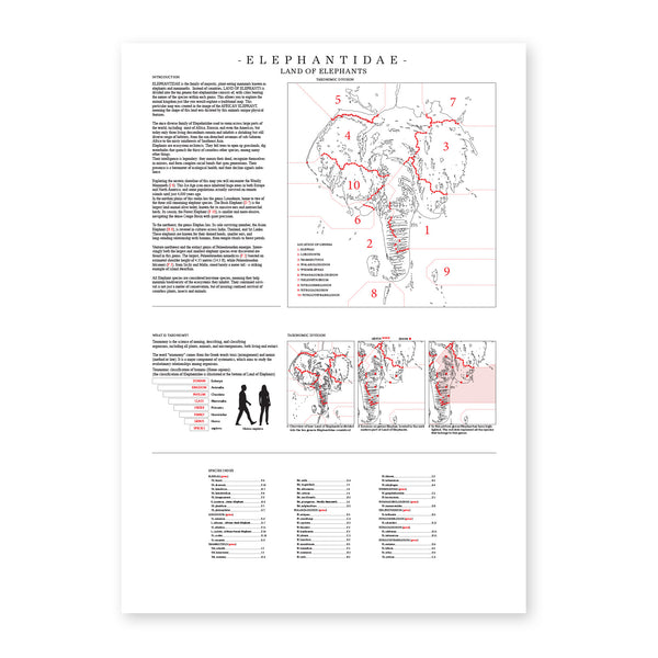 Elephantidae - Land of Elephants