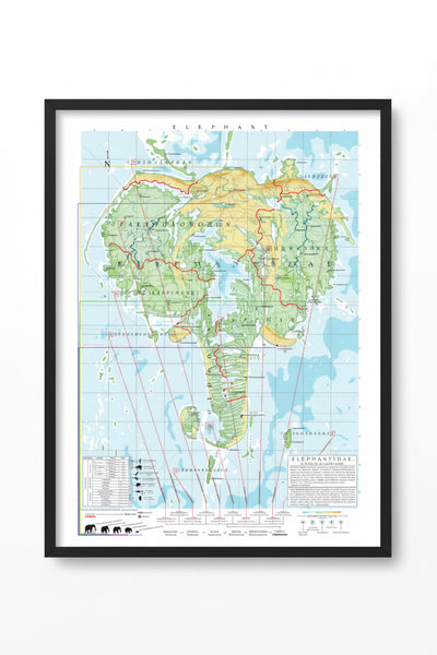 Elephantidae - Land of Elephants