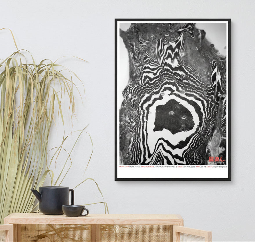Paris 48°52'05.2"N 2º17'33.2"E (Art Print)