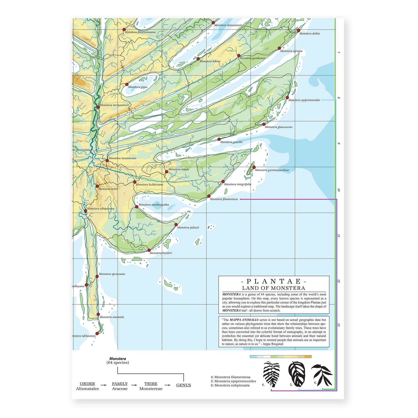 Plantae - Land of Monstera