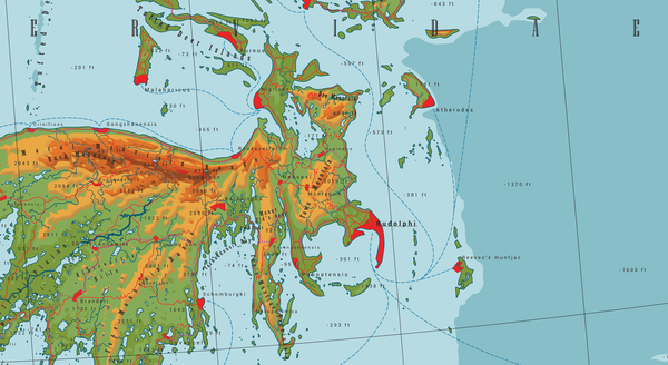 Cervidae - Land of the Deer