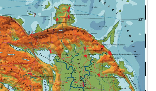 Elephantidae - Land of the Elephant