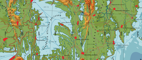 Elephantidae - Land of the Elephant