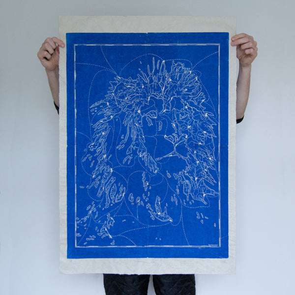 Panthera Leo *Blue*