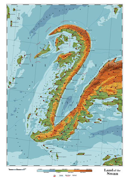 Anatidae - Land of the Swan